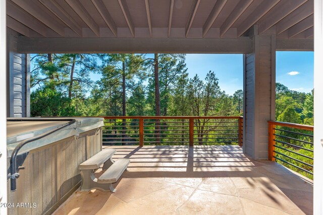 view of patio / terrace with a balcony