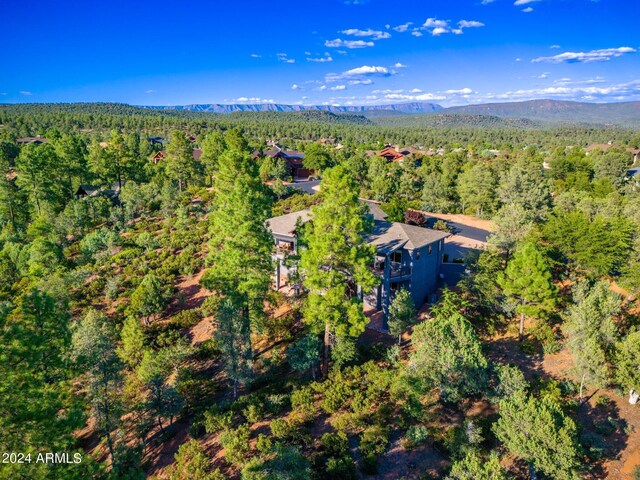 drone / aerial view featuring a mountain view