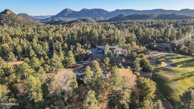 aerial view with a mountain view