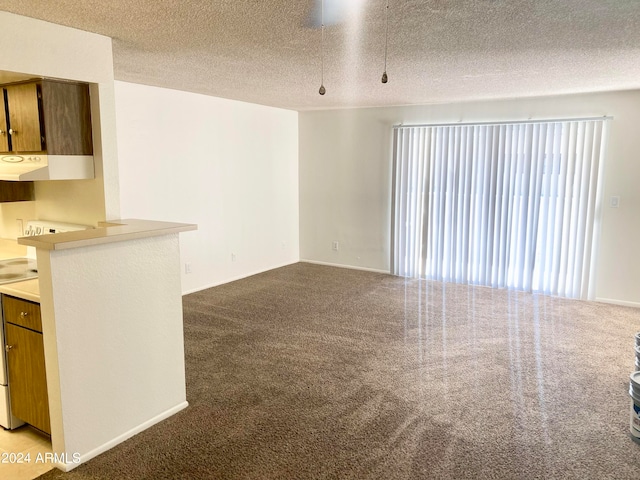 carpeted empty room featuring a textured ceiling and plenty of natural light