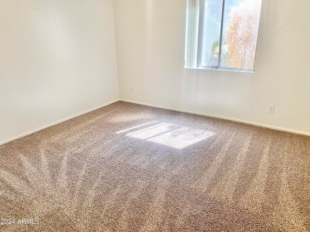 unfurnished room featuring carpet