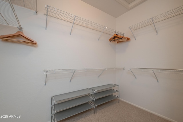 spacious closet with carpet floors