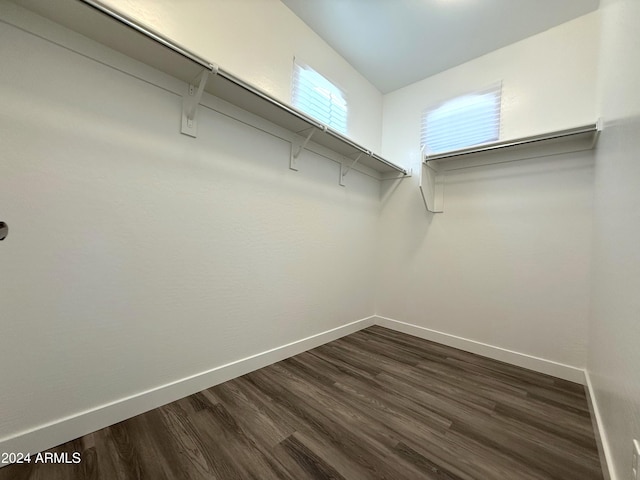 walk in closet with dark wood-type flooring