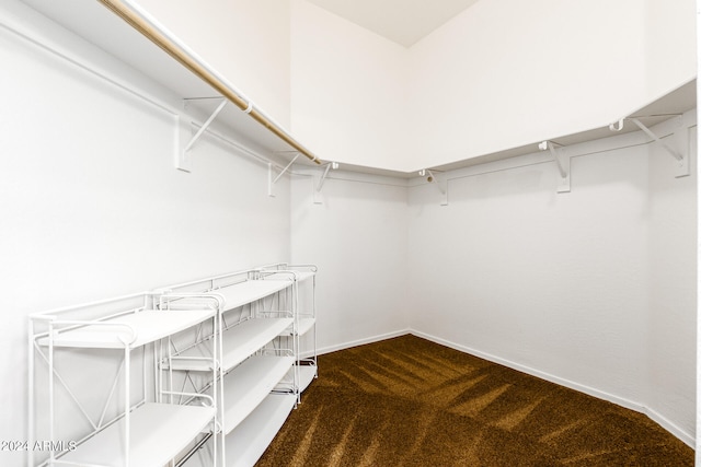 spacious closet featuring carpet flooring