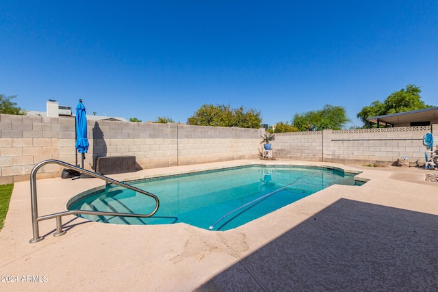 view of pool featuring a patio area