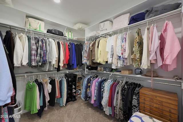 spacious closet with carpet floors