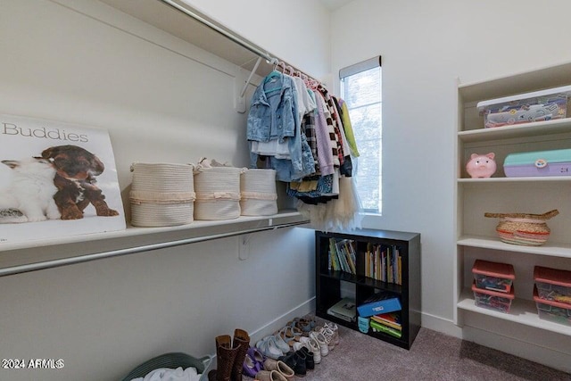 spacious closet with carpet