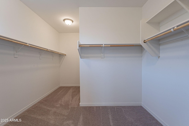 24184 W Gibson Ln, Buckeye, AZ 85326 - walk in closet featuring carpet flooring