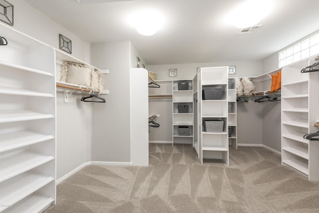 walk in closet with visible vents and carpet