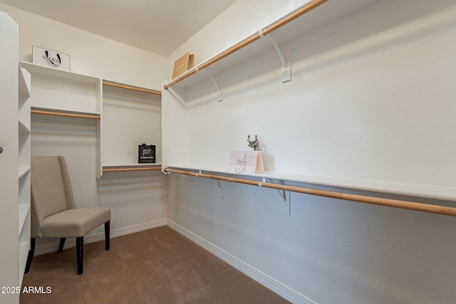 spacious closet with carpet floors