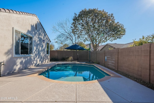 view of pool featuring a patio area