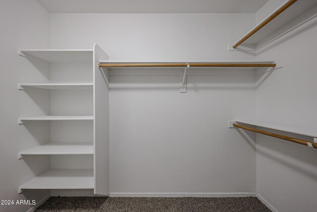 walk in closet featuring carpet