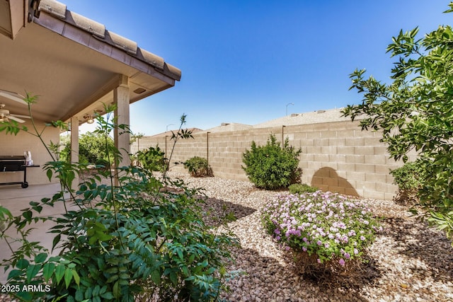 view of yard featuring fence and ceiling fan