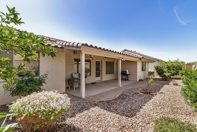 rear view of house featuring a patio area, ceiling fan, and a tiled roof