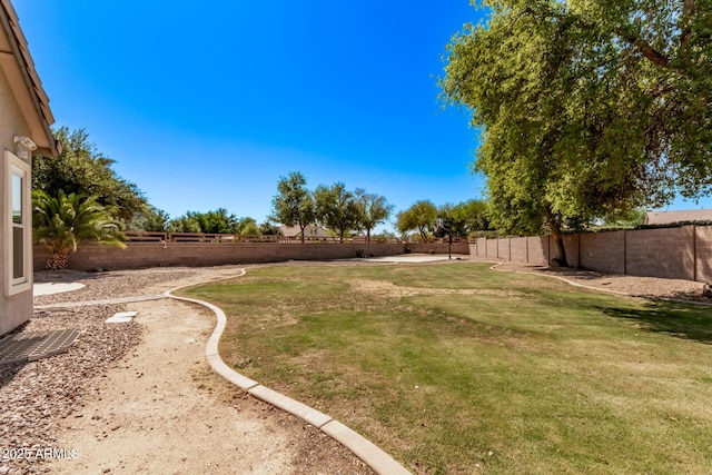 view of yard