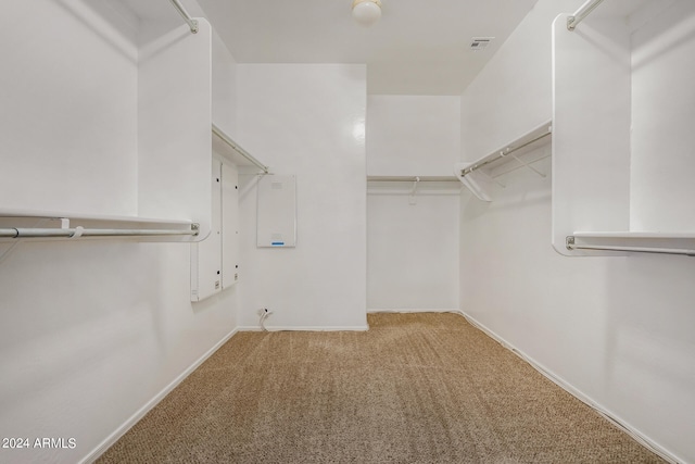 spacious closet with carpet flooring