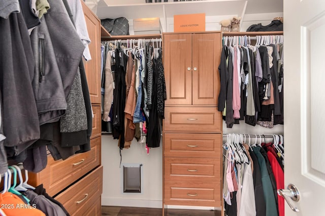 view of spacious closet