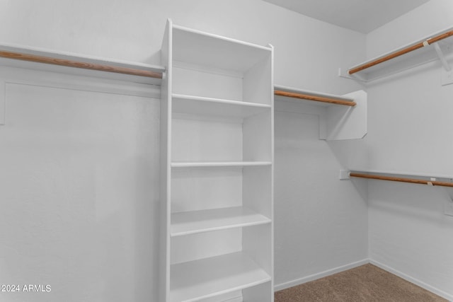 spacious closet featuring carpet flooring