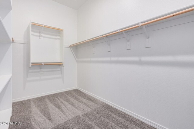 walk in closet featuring carpet