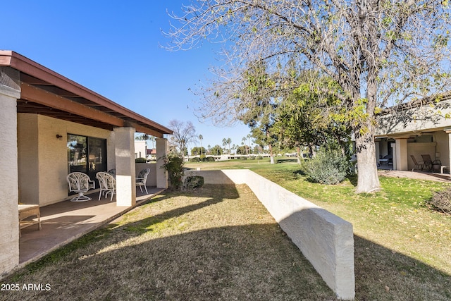 view of yard with a patio area