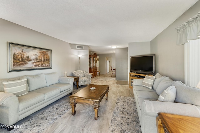 living room featuring a textured ceiling