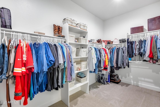 spacious closet with light colored carpet