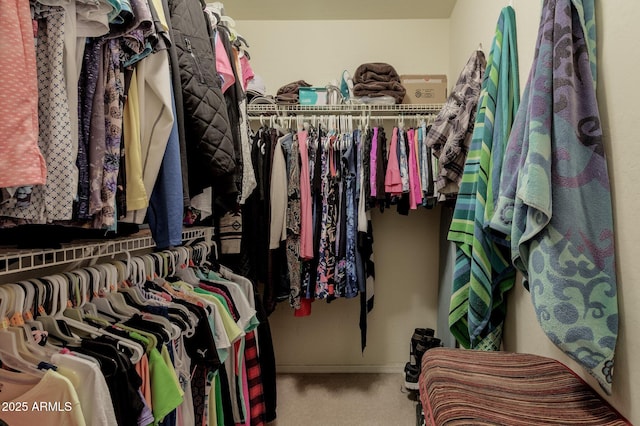 spacious closet with carpet floors