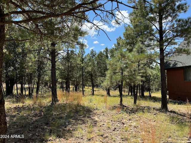 view of local wilderness