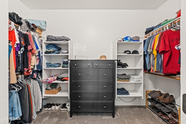 spacious closet with carpet