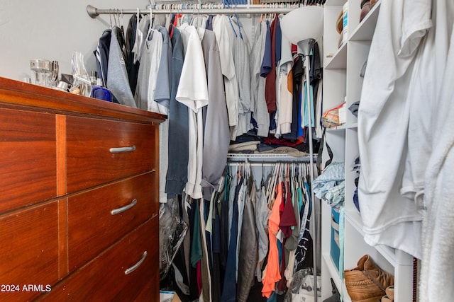 view of spacious closet