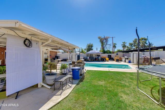 view of pool featuring a storage shed, a yard, and a patio area