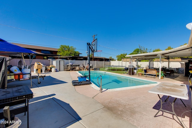 view of pool with a shed and a patio