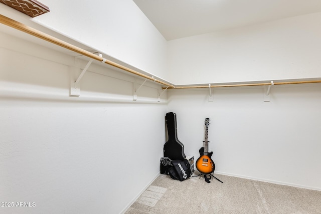 spacious closet featuring carpet flooring