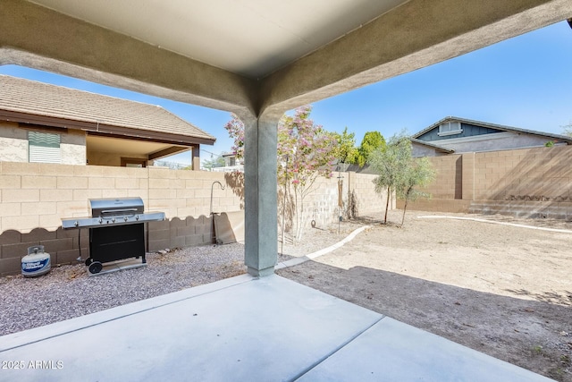 view of patio / terrace with a fenced backyard and area for grilling