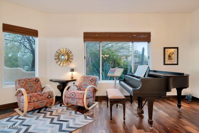 sitting room featuring plenty of natural light and hardwood / wood-style flooring