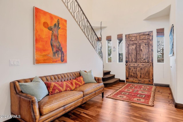 entrance foyer with wood-type flooring