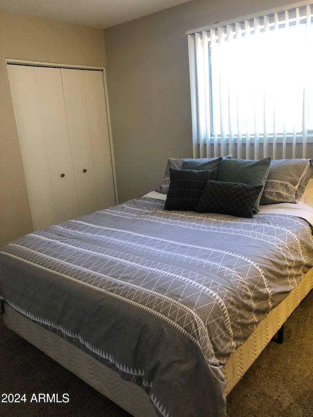 bedroom featuring carpet floors and a closet