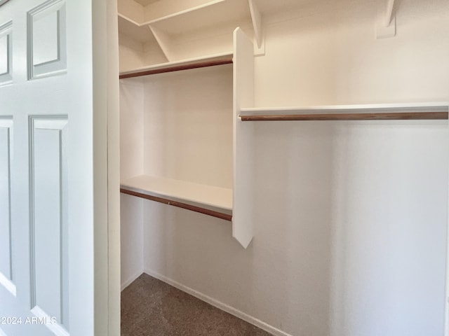 spacious closet with carpet