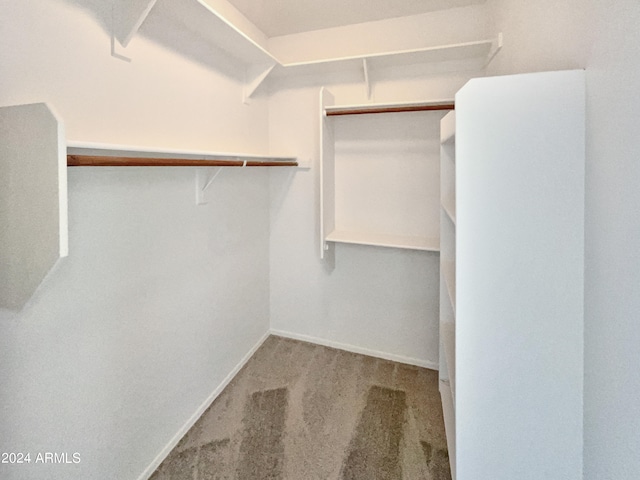 spacious closet with light colored carpet