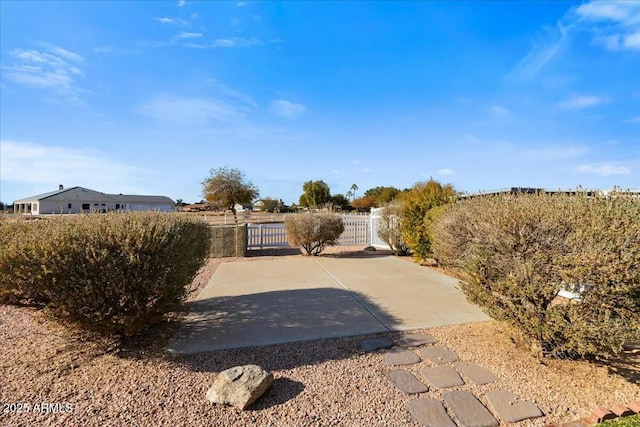 view of yard with a patio