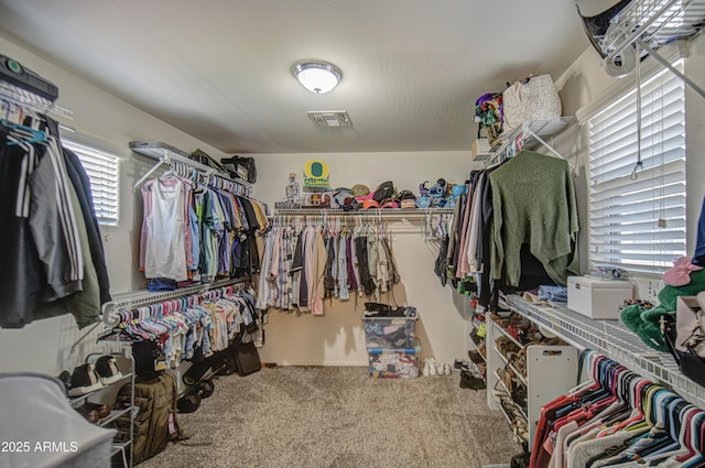 spacious closet featuring carpet