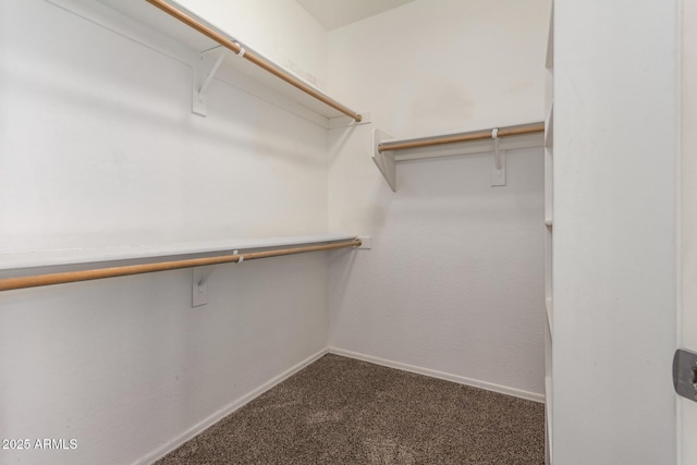 spacious closet with carpet flooring