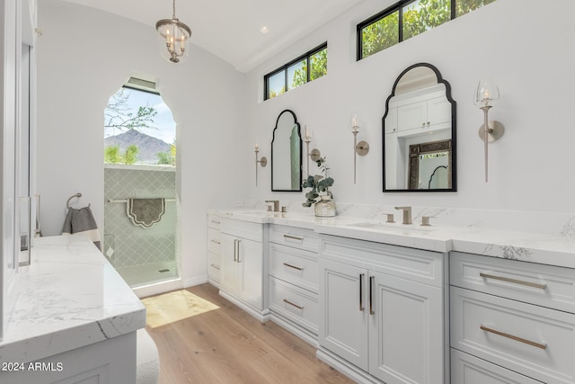 bathroom featuring hardwood / wood-style flooring, a shower, and vanity