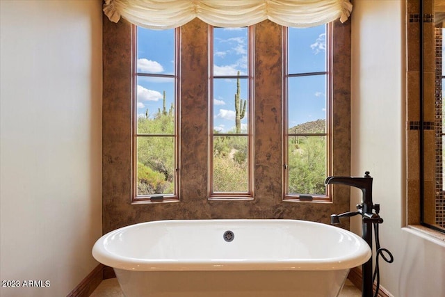 bathroom with a healthy amount of sunlight and a bath