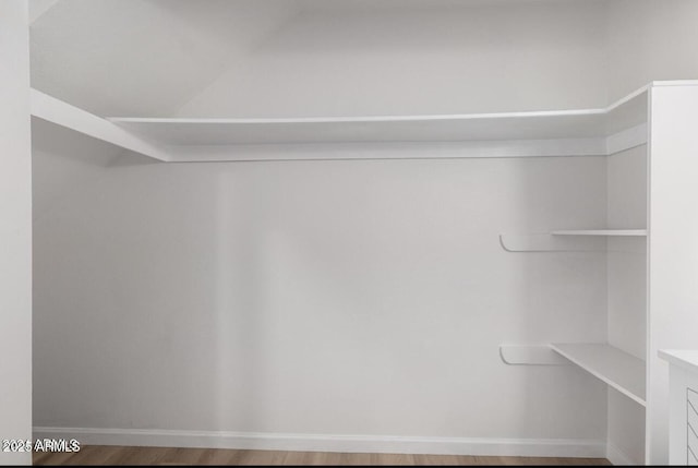 spacious closet featuring wood-type flooring