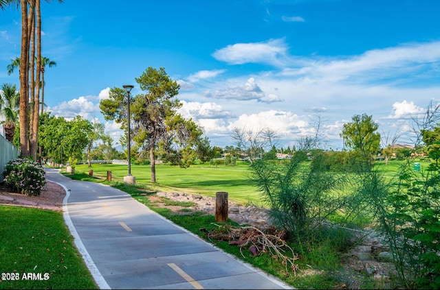 view of community featuring a lawn