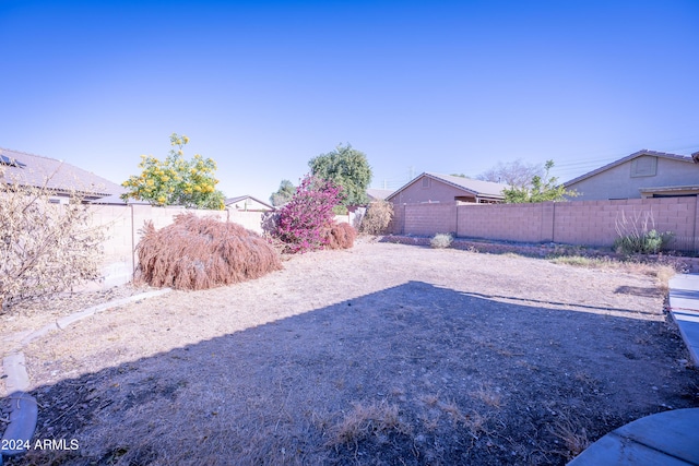 view of yard