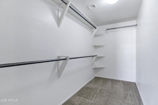 spacious closet with visible vents and carpet floors