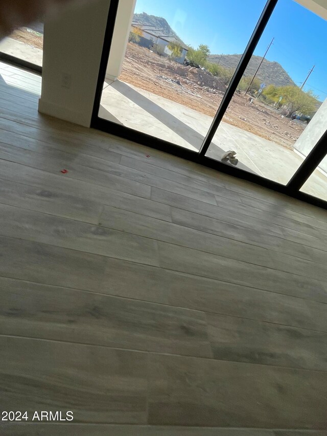 details featuring a mountain view and hardwood / wood-style flooring