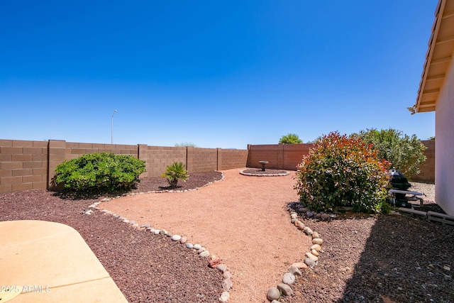 view of yard with a patio area and a fenced backyard